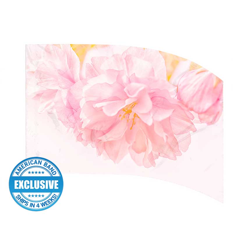 Banderas digitales: Estilo 17177